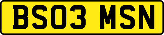 BS03MSN