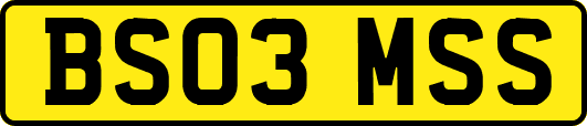 BS03MSS