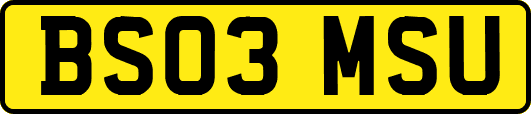BS03MSU