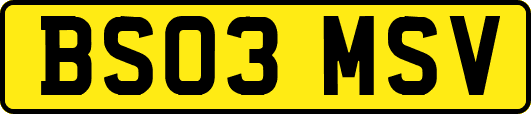 BS03MSV