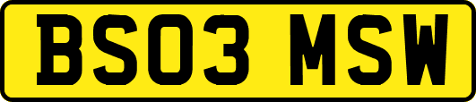 BS03MSW