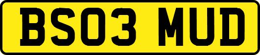 BS03MUD