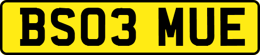 BS03MUE