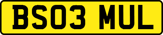 BS03MUL