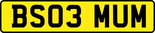 BS03MUM