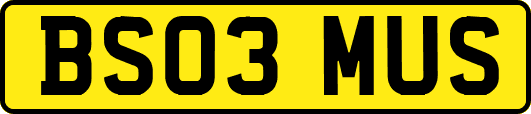 BS03MUS