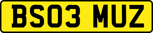 BS03MUZ