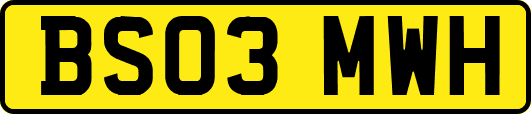 BS03MWH