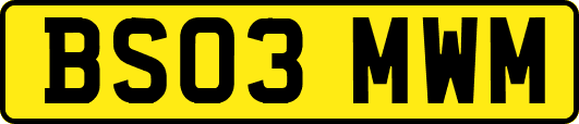 BS03MWM