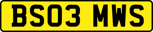 BS03MWS