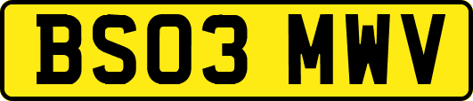 BS03MWV