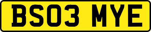 BS03MYE