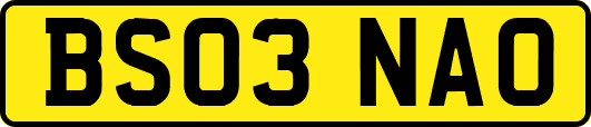 BS03NAO