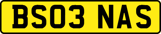 BS03NAS