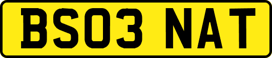 BS03NAT