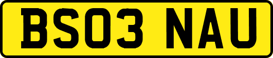 BS03NAU