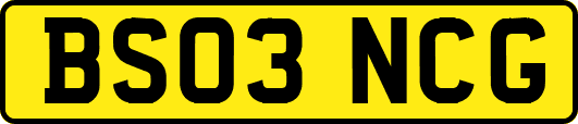 BS03NCG
