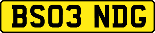 BS03NDG