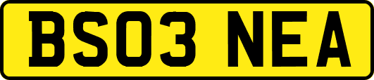 BS03NEA