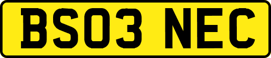 BS03NEC