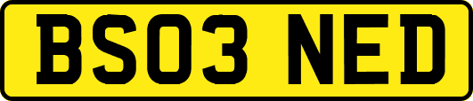 BS03NED