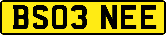 BS03NEE