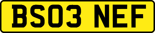 BS03NEF