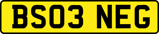 BS03NEG