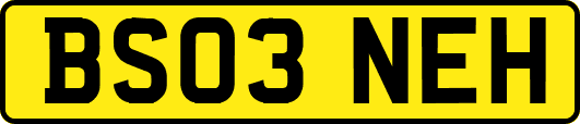 BS03NEH