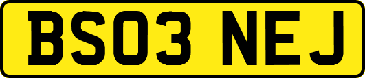 BS03NEJ