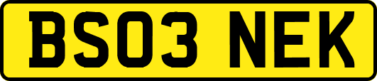 BS03NEK