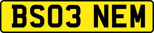 BS03NEM