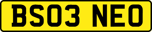 BS03NEO