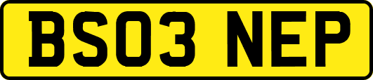 BS03NEP