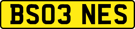 BS03NES