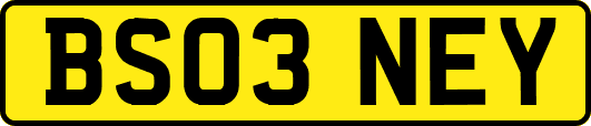 BS03NEY