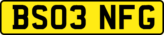 BS03NFG