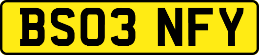 BS03NFY