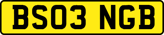 BS03NGB