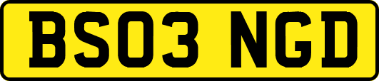 BS03NGD