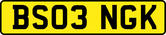 BS03NGK
