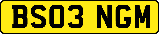 BS03NGM