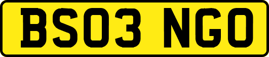 BS03NGO