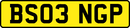 BS03NGP