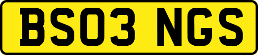 BS03NGS