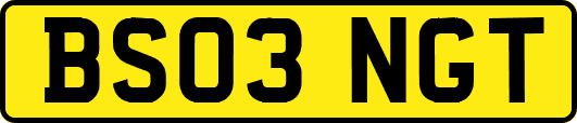 BS03NGT