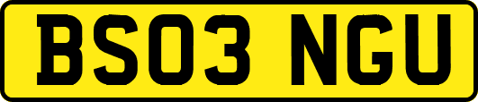 BS03NGU