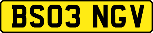 BS03NGV