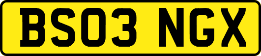 BS03NGX