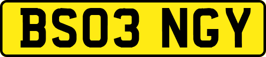 BS03NGY